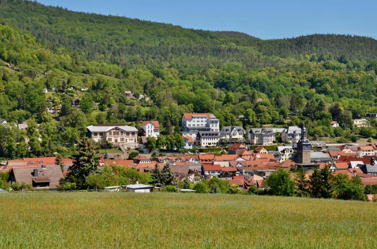 Frieden Hotel 4*